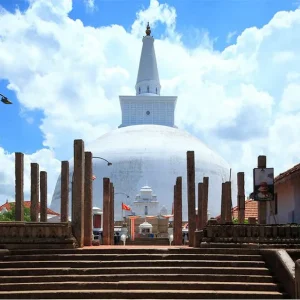 15254287963_8305d2428f_b