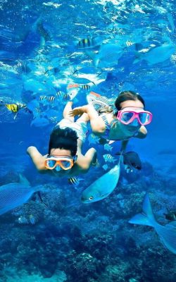 1_pigeon-island-snorkeling-tour-from-uppuveli-beach-577x800