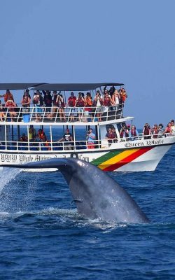 372ef1b4061d2d51f23caf500b56e042