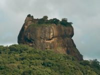 pexels-bilakis-19710787