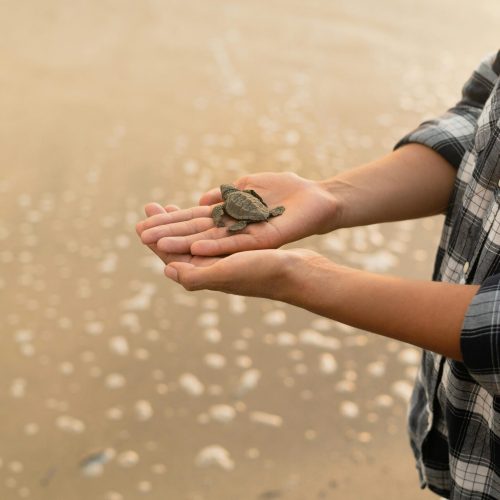 pexels-cristian-rojas-10041659