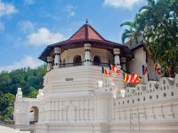 pexels-ruwan-lakmal-326724272-33404364