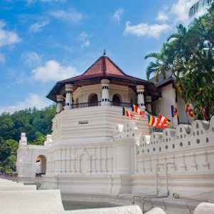 pexels-ruwan-lakmal-326724272-33404364