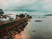 pexels-shainee-2933943